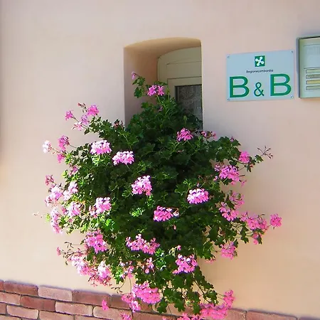 B&B Da-Di Colico Room photo